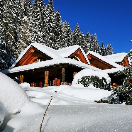 Chalet Caprea Bad Kleinkirchheim Exteriér fotografie